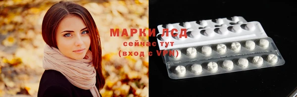 МДПВ Пересвет