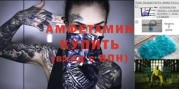 шишки Переславль-Залесский