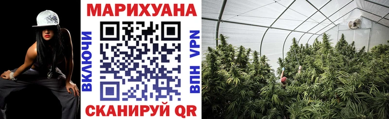 купить   Сосновка  Марихуана Bruce Banner 